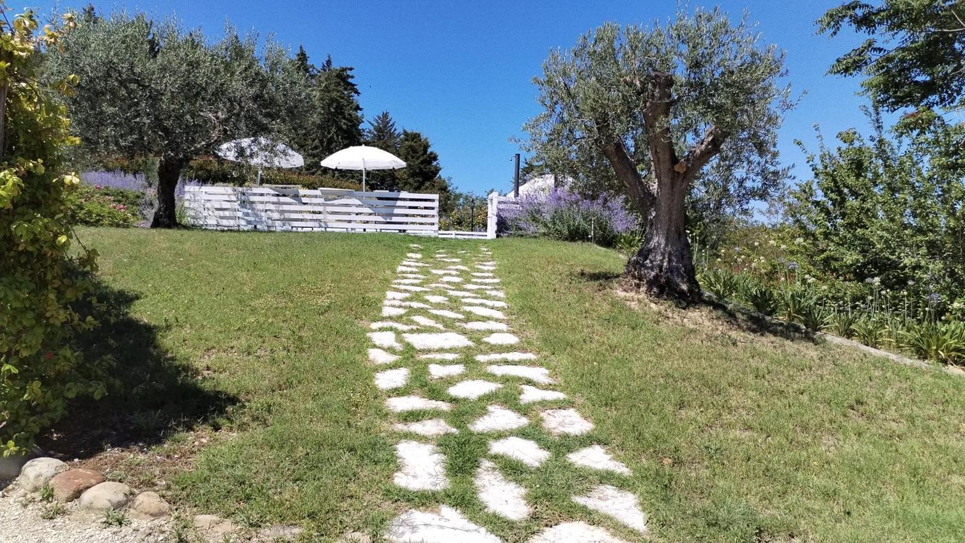 Il Gelso Country House Bed & Breakfast Castorano  Exterior photo